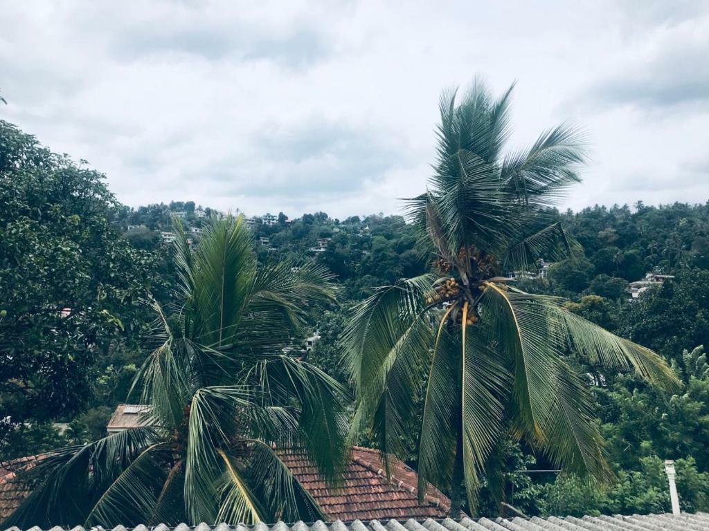 Luxury Apartment The Walkers Nest Kandy Exterior photo